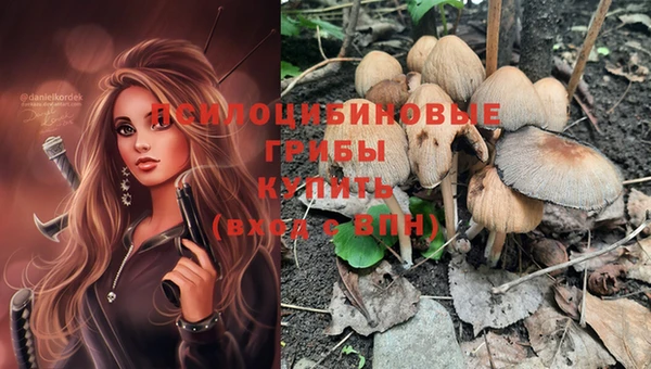 хмурый Белокуриха