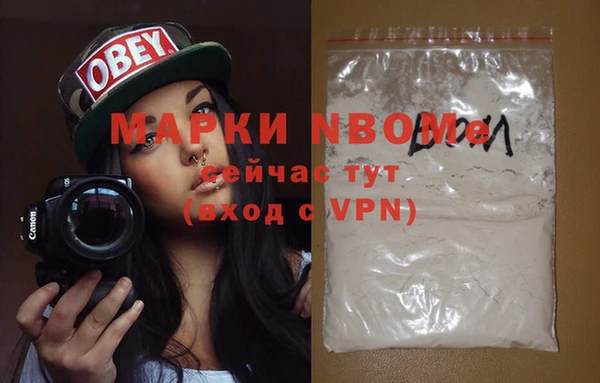 хмурый Белокуриха