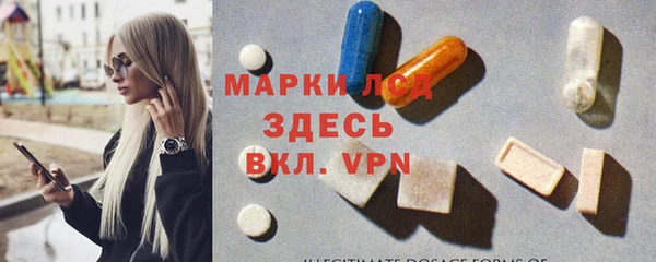 хмурый Белокуриха