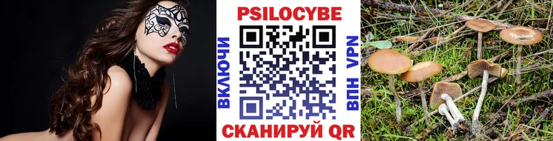 Псилоцибиновые грибы Psilocybine cubensis  Купино 